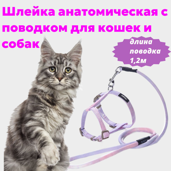 Шлейка для кошек и собак с поводком 1,2м,анатомическая,для малых и ...