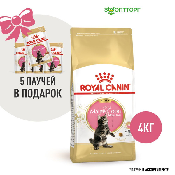 Сухой корм Royal Canin Maine Coon Kitten для котят породы мейн-кун, с ...