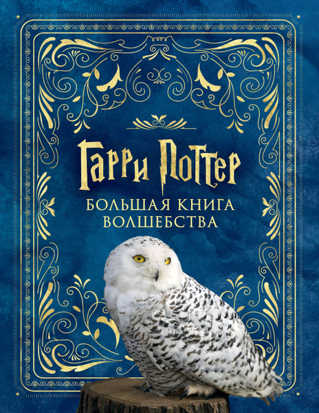 Гарри Поттер. Большая книга волшебства купить на OZON по низкой цене ...