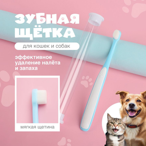 Характеристики Зубная щетка для кошек и собак в футляре подробное ...
