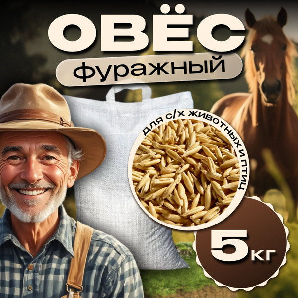 Овёс неочищенный для животных и птиц, для проращивания и заваривания 5 ...