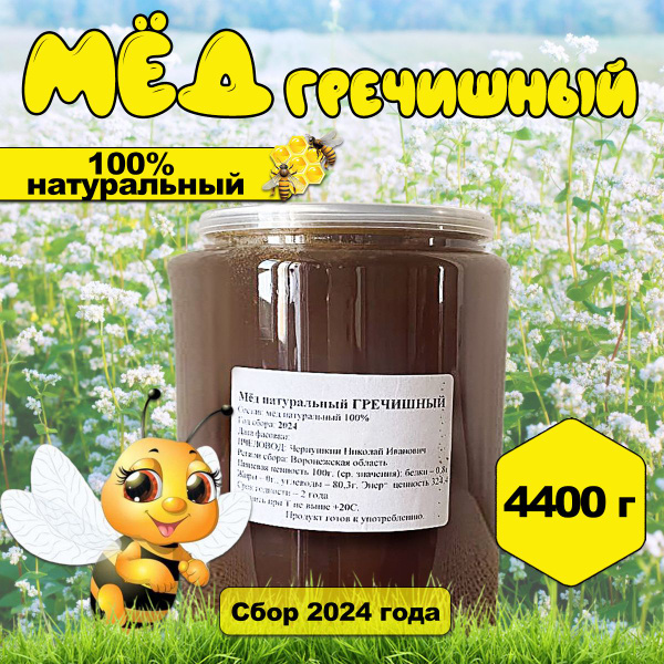 Мед гречишный 4400 г - купить с доставкой по выгодным ценам в интернет ...