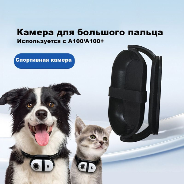 Спортивная камера для домашних животных - купить с доставкой по ...