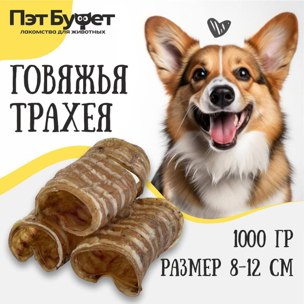 Трахея говяжья лакомство для собак трубка 1000гр - купить с доставкой ...