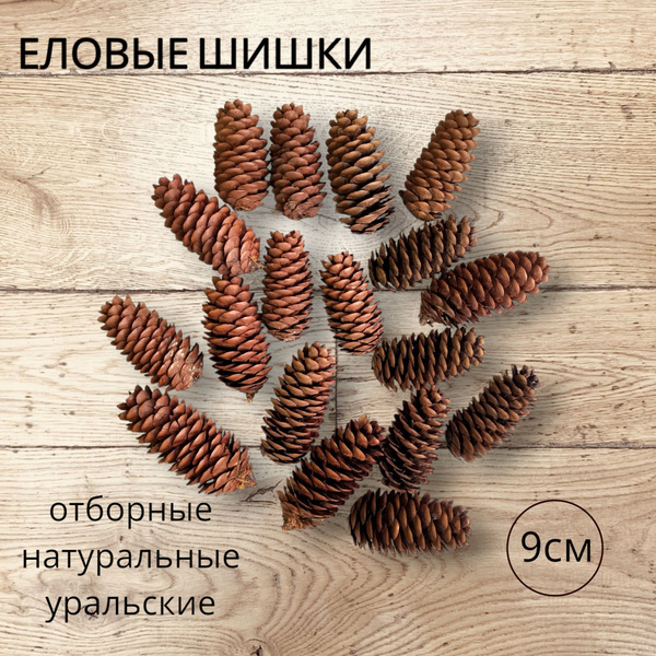 Шишки еловые, набор 10 шт, для поделок, декора и творчества купить на ...
