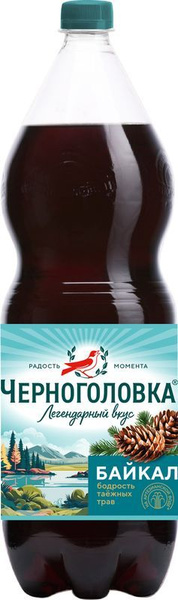 Напиток Черноголовка Байкал 2л купить на OZON по низкой цене (1778113070)