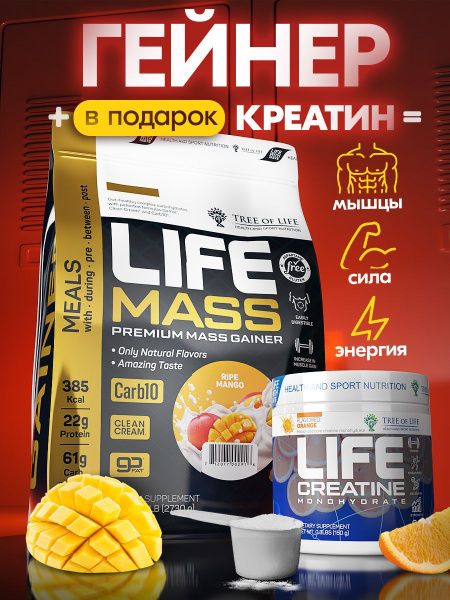 Комплекс Гейнер Tree of life Mass GAINER 6LB вкус Манго + Креатин ...