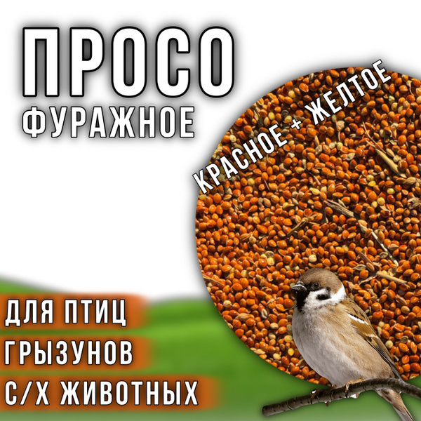 Корм для птиц,грызунов,с/х животных просо 5 кг. Кормовая добавка ...