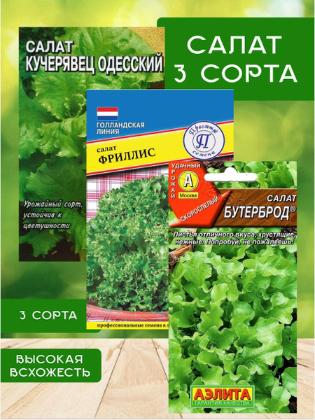 Пальмы - купить по выгодным ценам в интернет-магазине OZON (1824024283)
