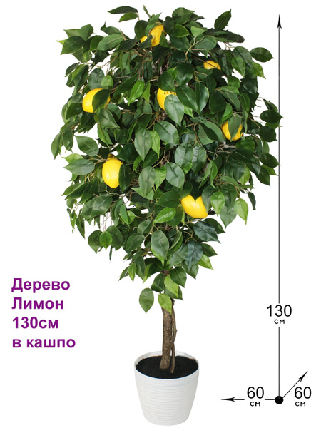 Скрытая сила: какой оберег для Стрельца превратит удачу в постоянного спутника