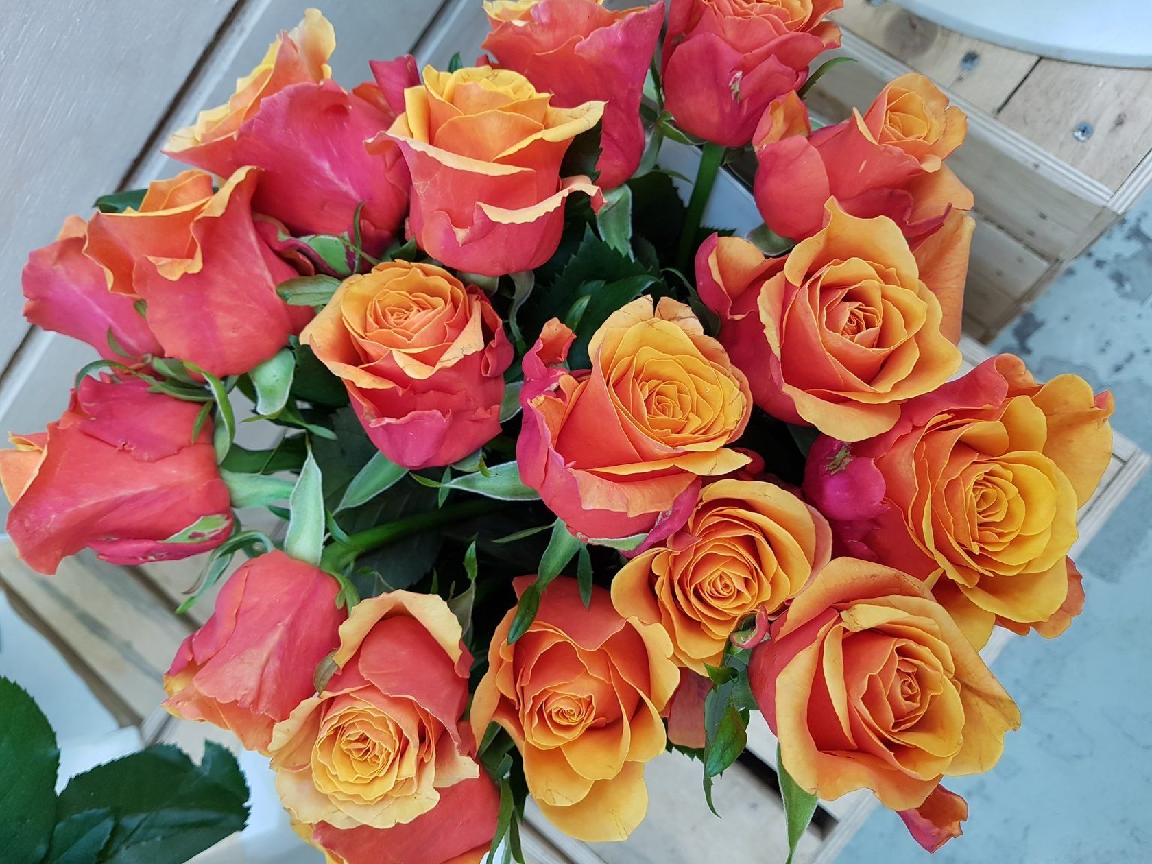 Яблоня декоративная profusion. Цветы первого сорта. Свит доломити чайно-гибридная. Сорта и цвет роз. Расцветки роз.