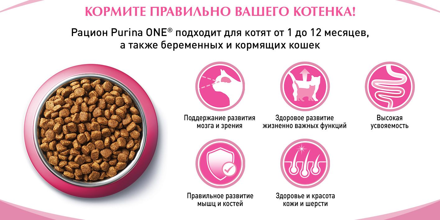 Влажный корм для котят Purina ONE, в соусе с курицей и морковью, 75 г(图2)
