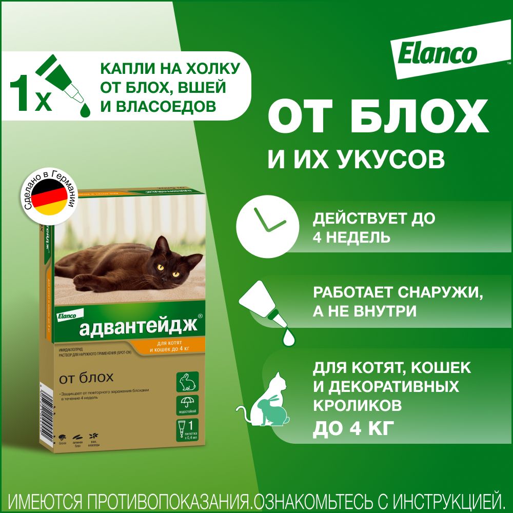 Адвантейдж® капли на холку от блох для котят и кошек до 4 кг – 1 пипетка -  купить с доставкой по выгодным ценам в интернет-магазине OZON (160815701)