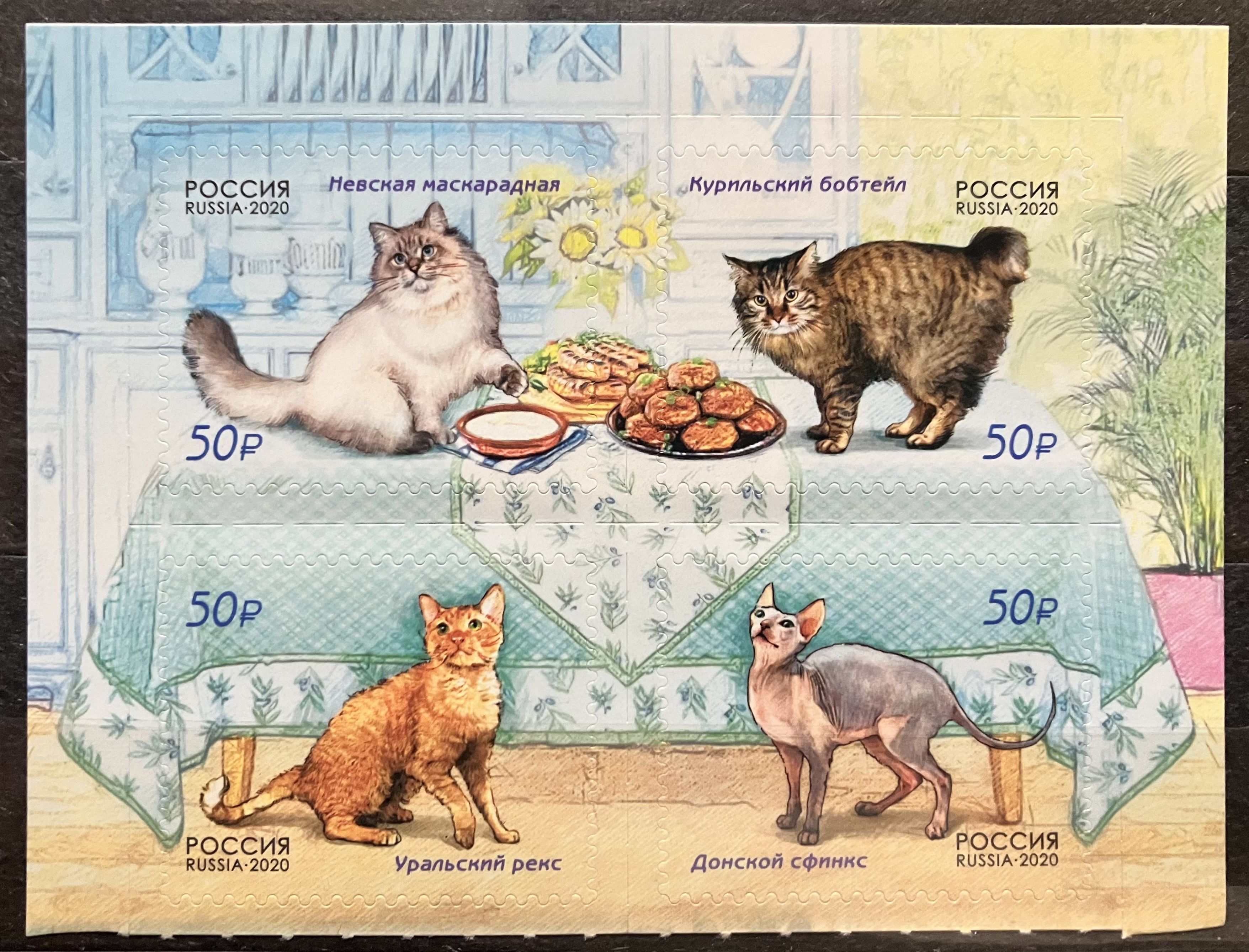 Россия2020,Фауна.Кошки