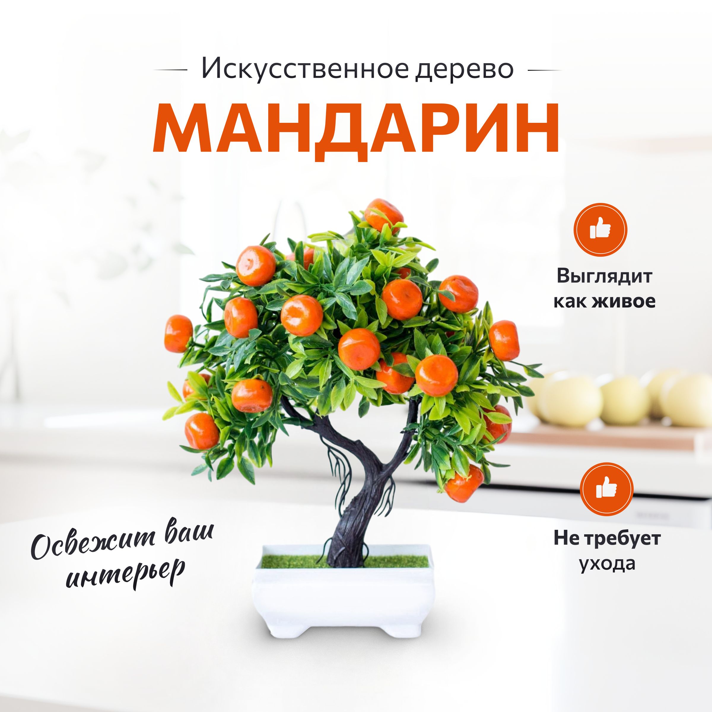 Мандариновое Дерево Живое – купить в интернет-магазине OZON по низкой цене