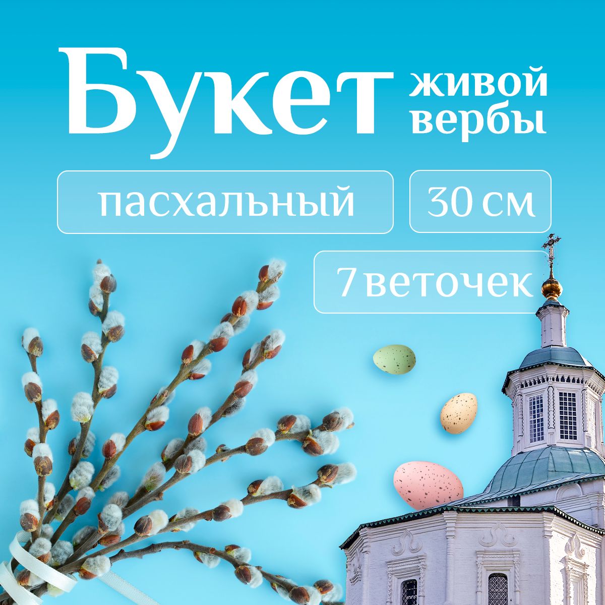 Купить Ветки Вербы Живые