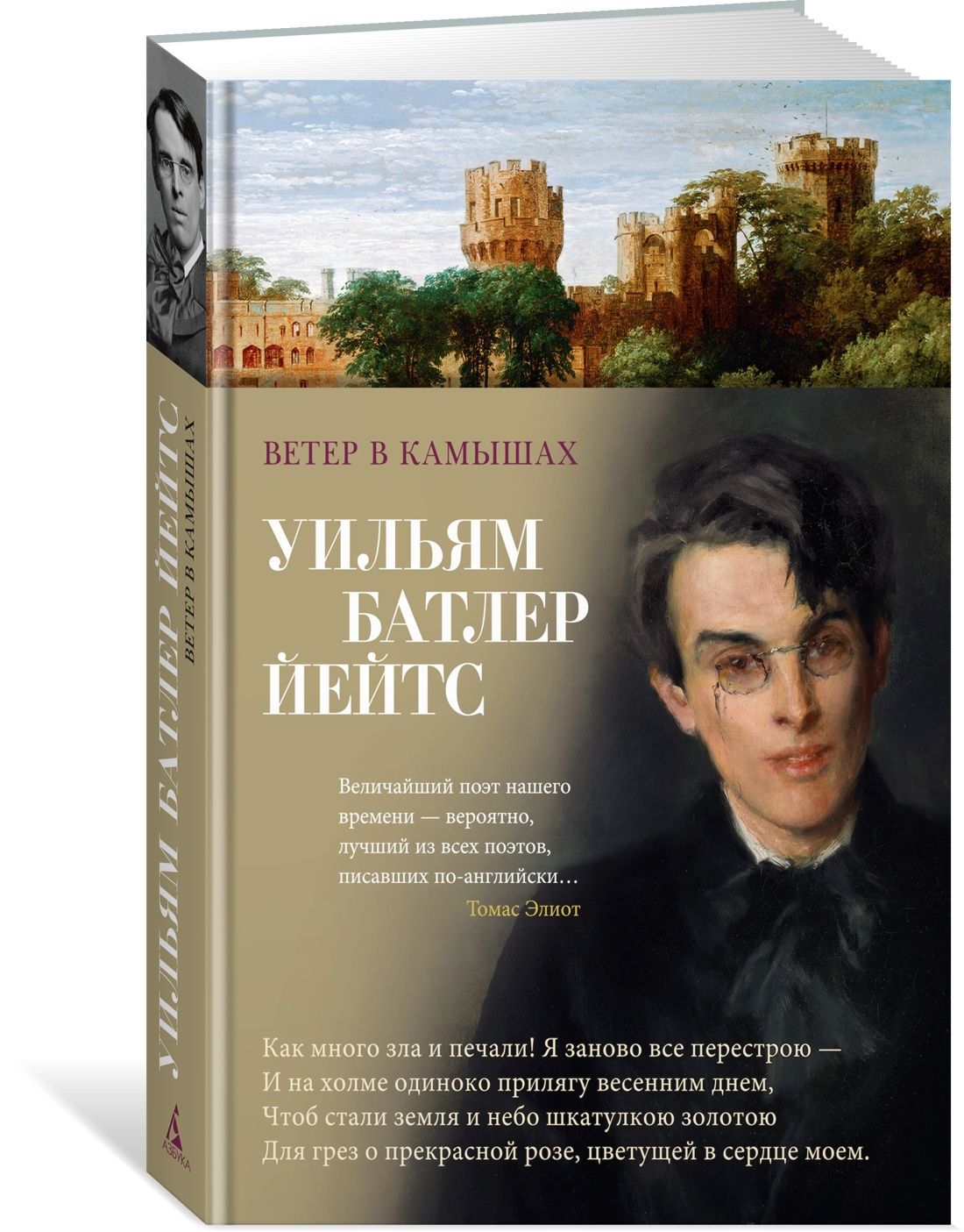 Ветер в камышах | Йейтс Уильям Батлер - купить с доставкой по выгодным  ценам в интернет-магазине OZON (1549631619)