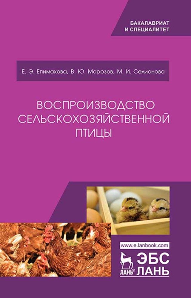 Содержание сельскохозяйственных птиц. Содержание сельскохозяйственных птиц