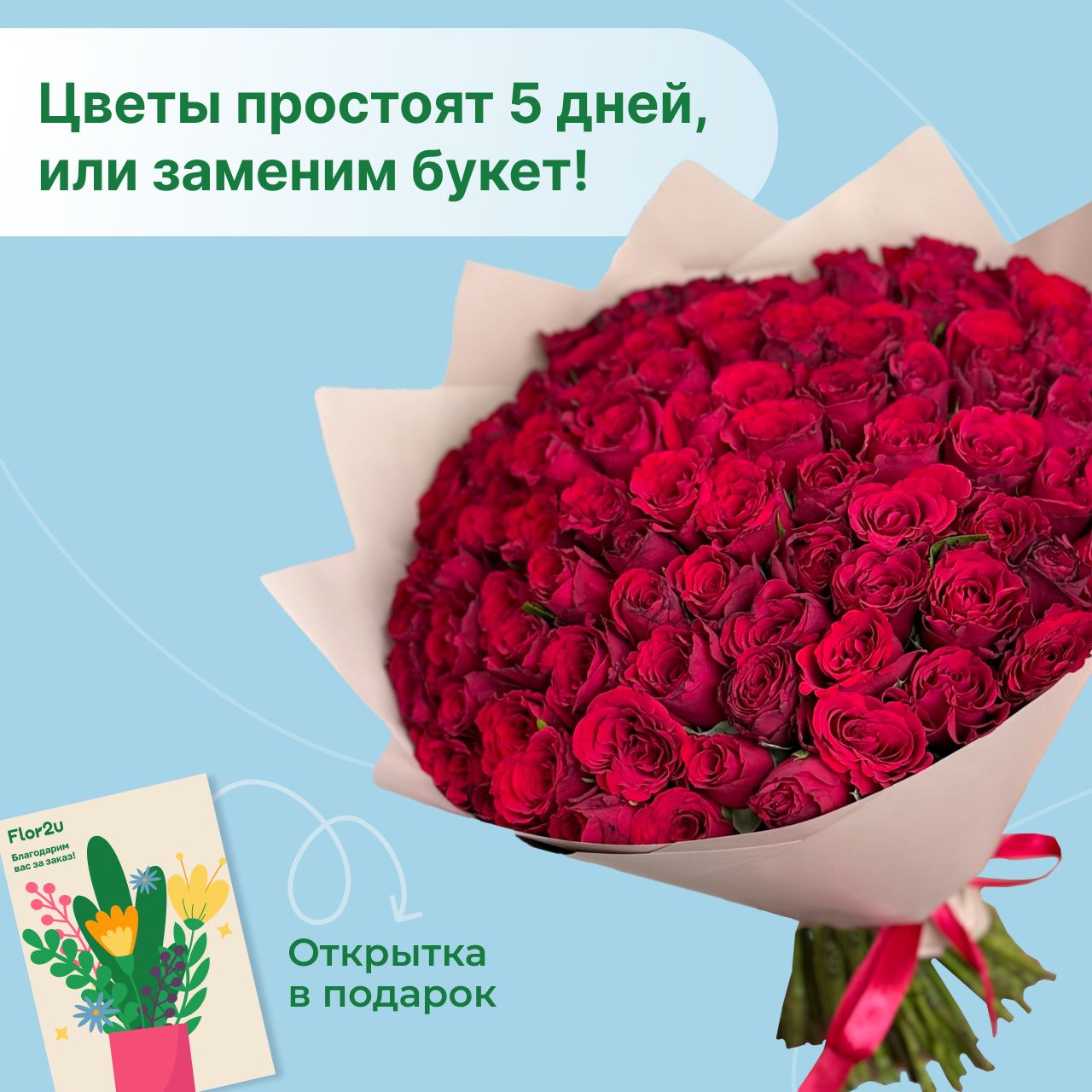 Цветы живые букет из 101 красной розы 40 см в упаковке Flor2u