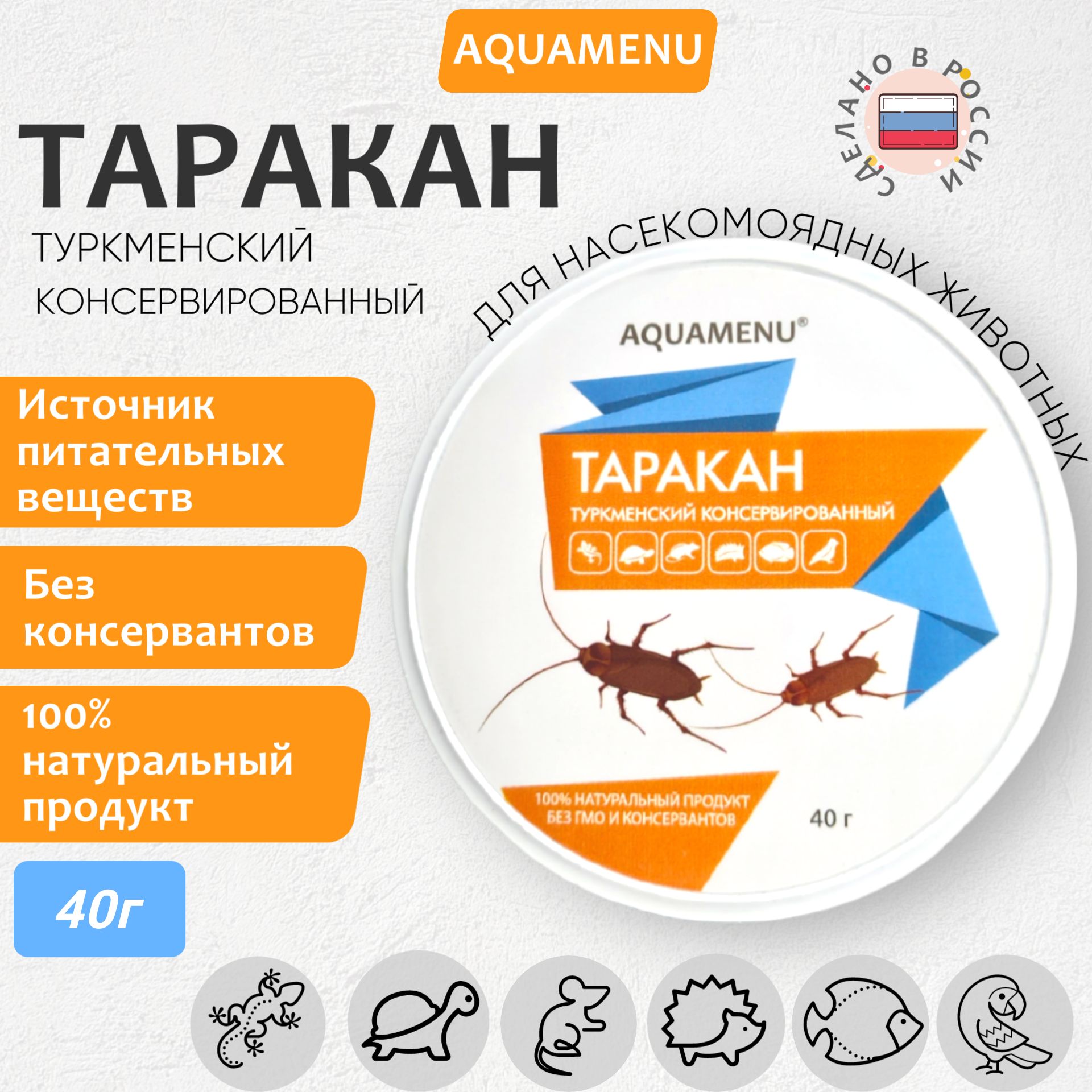 Консервированный туркменский таракан -1 шт - купить с доставкой по выгодным  ценам в интернет-магазине OZON (759618262)