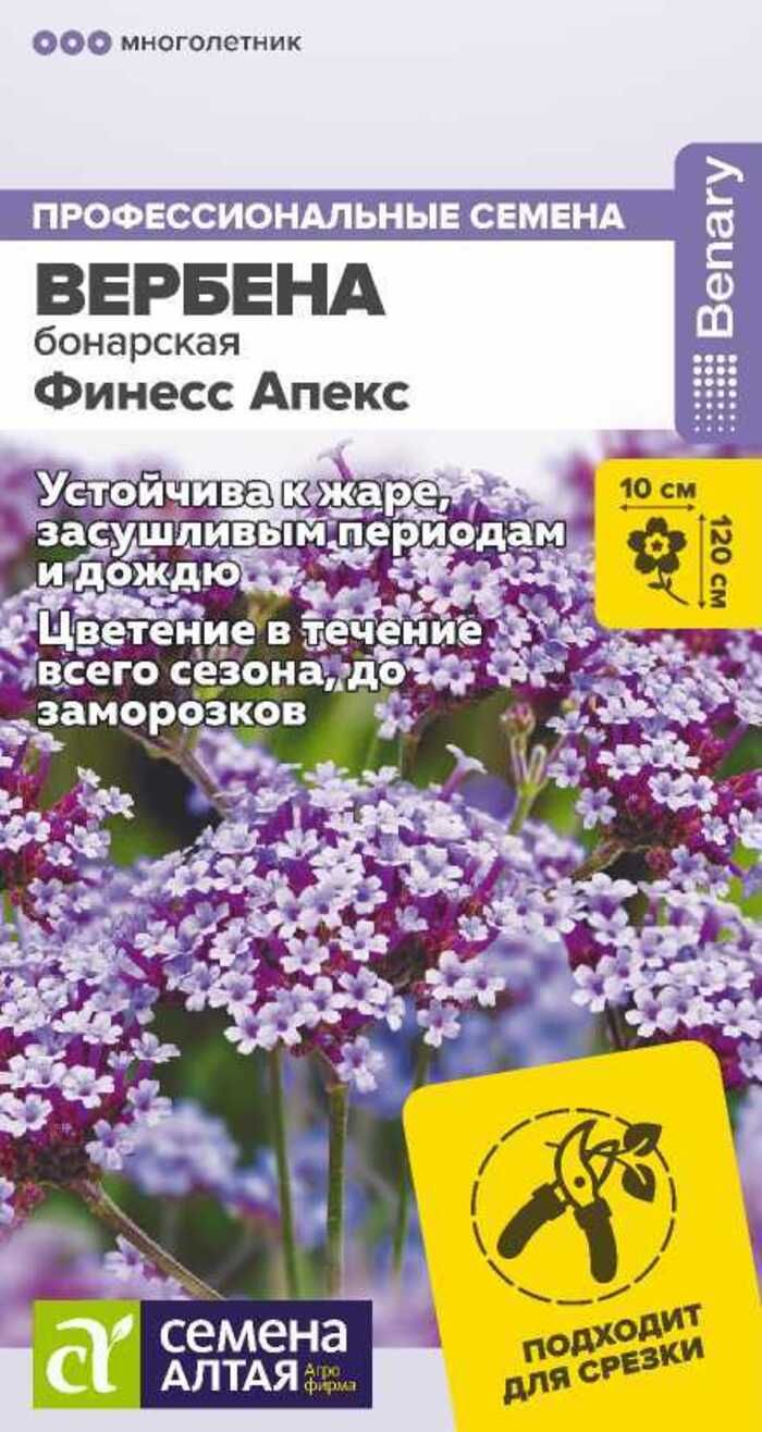 Купить Семена Вербены Бонарской В Интернет Магазине