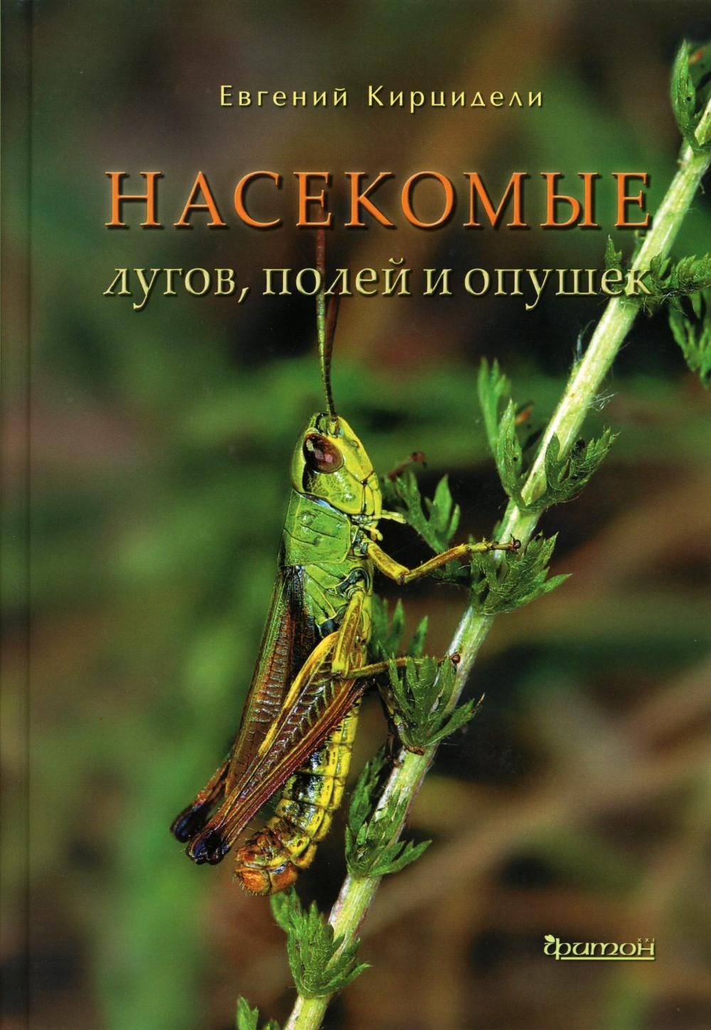 Насекомые лугов, полей и опушек | Кирцидели Евгений Юрьевич