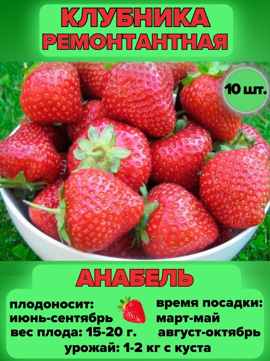Купить Ремонтантную Клубнику Саженцы В Абакане