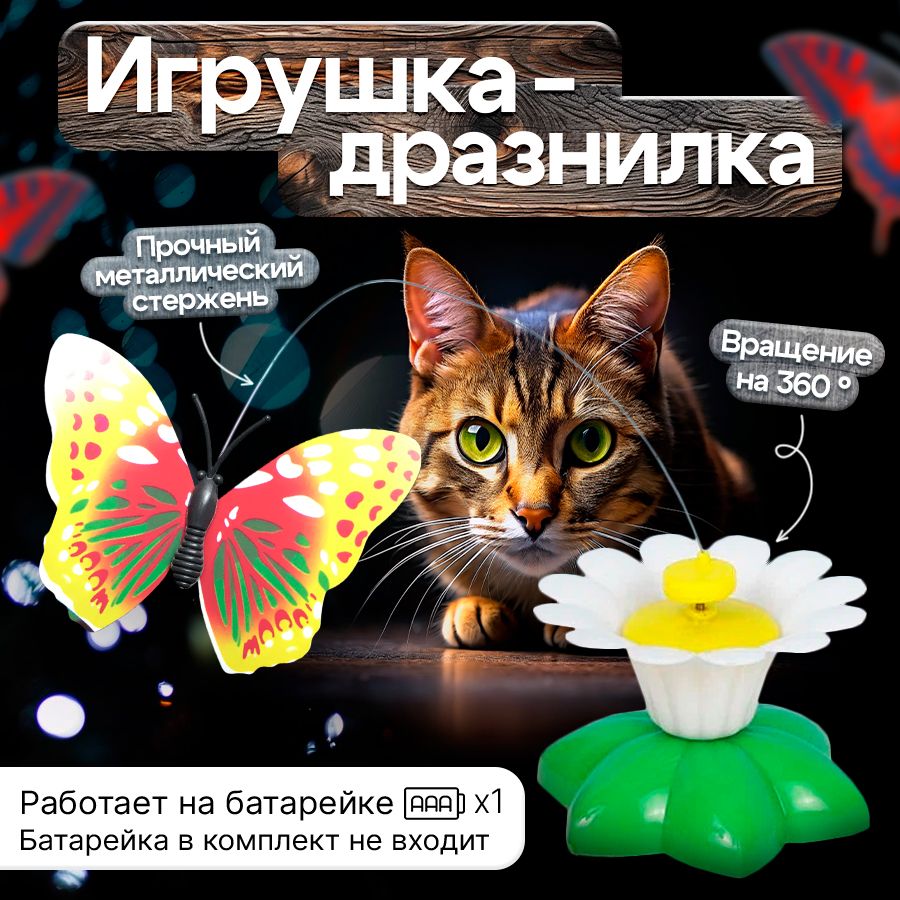 Игрушка для кошек интерактивная автоматическая, Бабочка вращающаяся, на  батарейках для котов , дразнилка COOL PETS - купить с доставкой по выгодным  ценам в интернет-магазине OZON (1316631934)