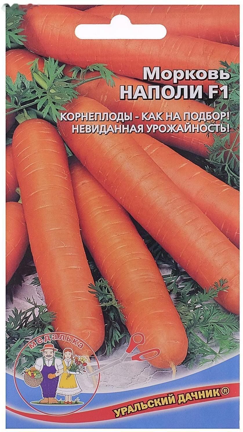 Купить Семена Моркови