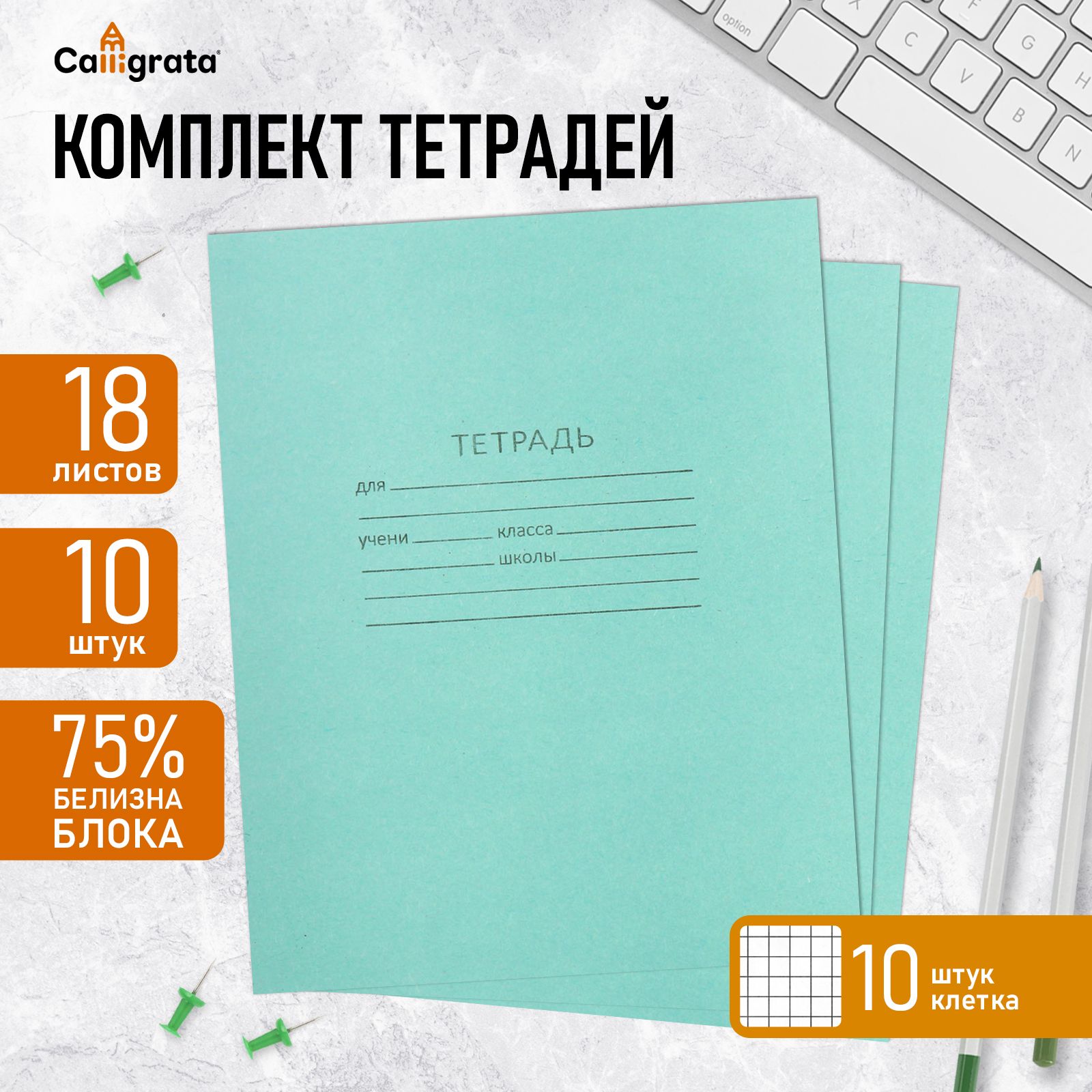 Комплект тетрадей из 10 штук, 18 листов в клетку