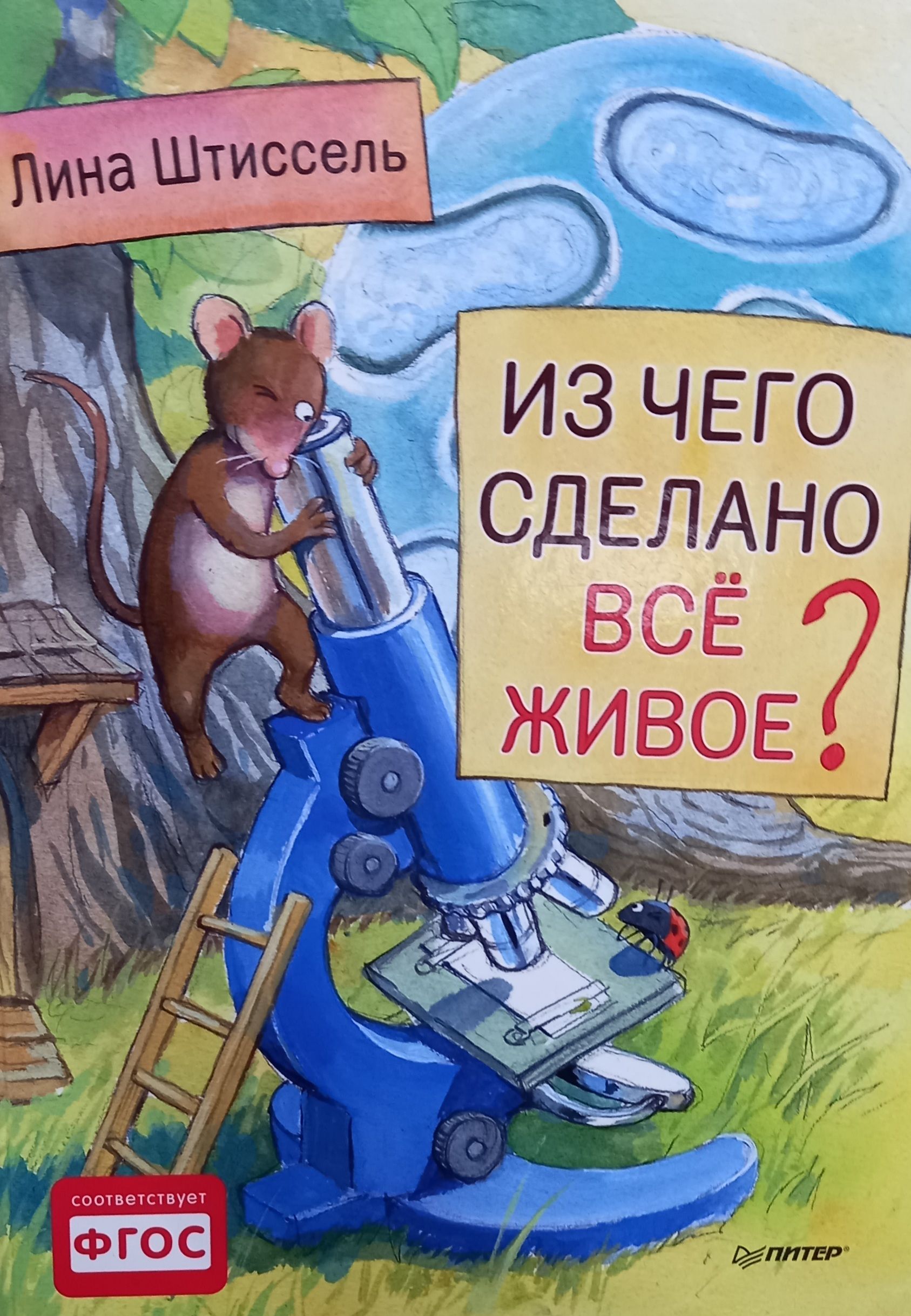 Из чего сделано все живое. Картинки из чего сделаны предметы. Из чего сделано все живое. Книга о пронщительной потеебности детсао читвй город. Тела вещества частицы 3 класс окружающий мир.