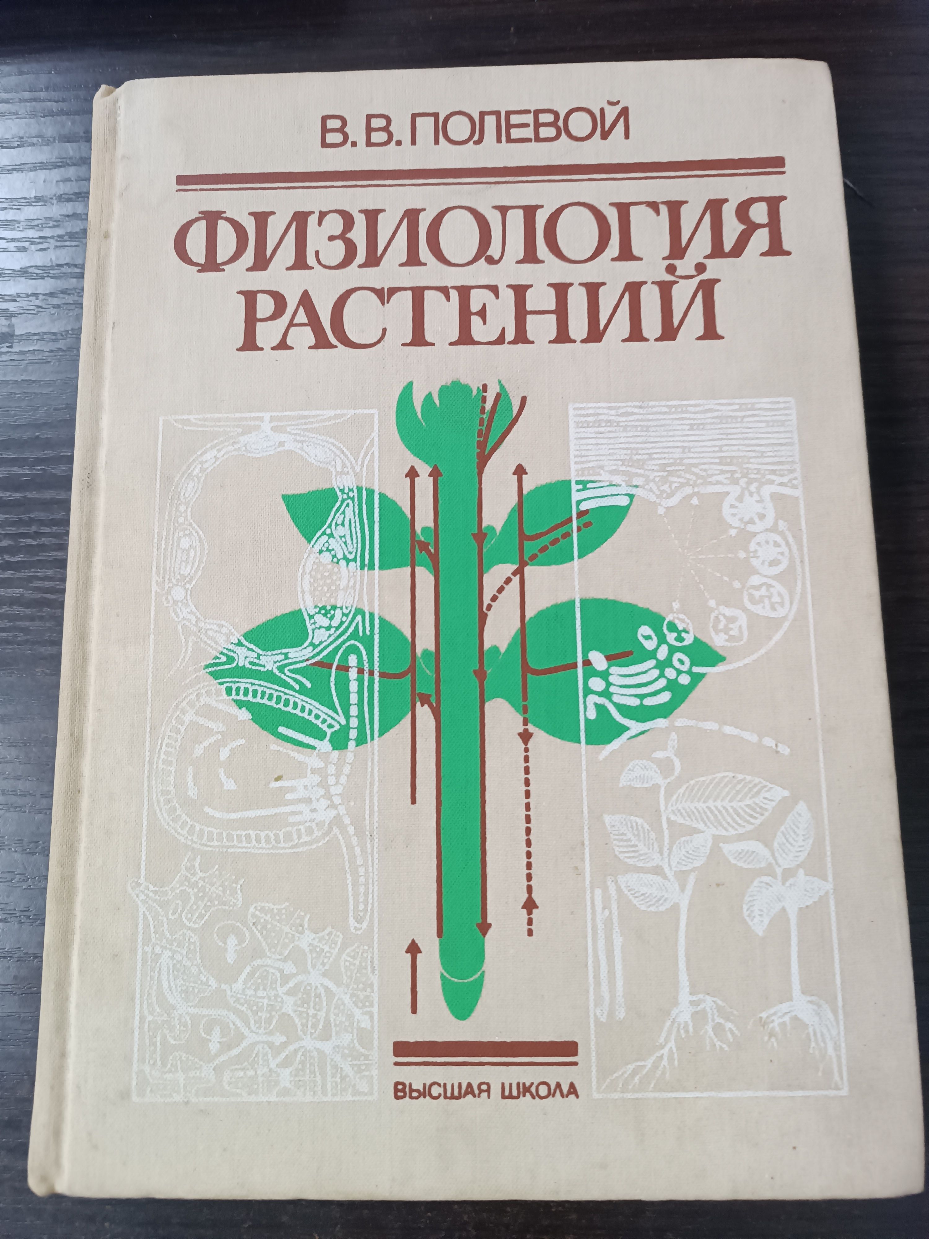 Физиология растений / Полевой Всеволод Владимирович | Полевой Всеволод Владимирович