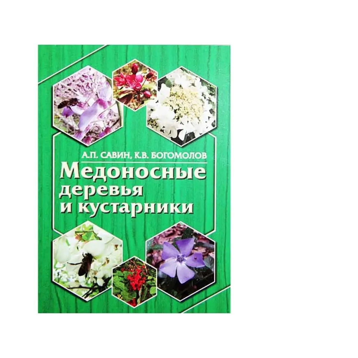 Медоносные деревья и кустарники | Савин А.