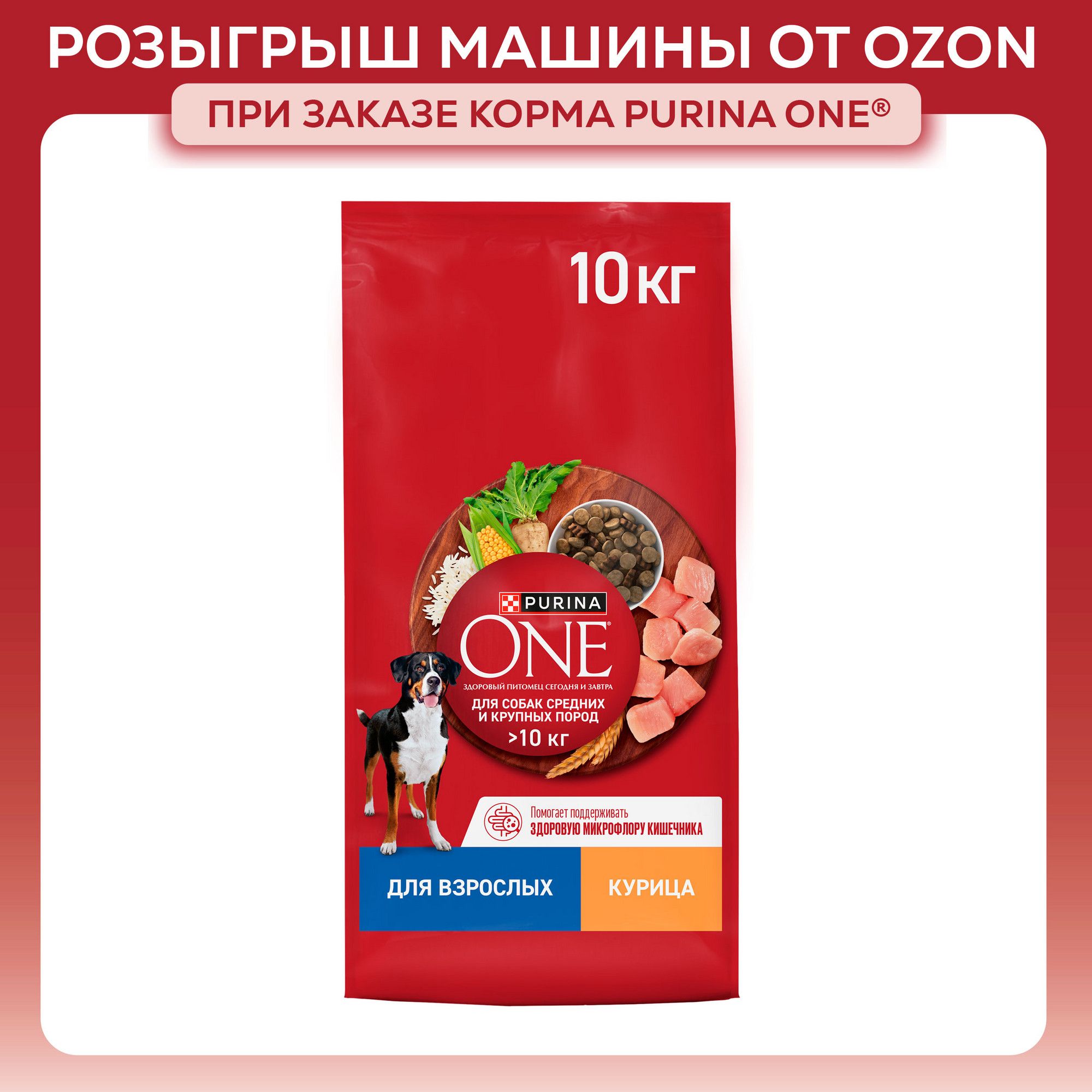 Сухой корм для собак Purina ONE для средних и крупных пород, с курицей и рисом, 10 кг