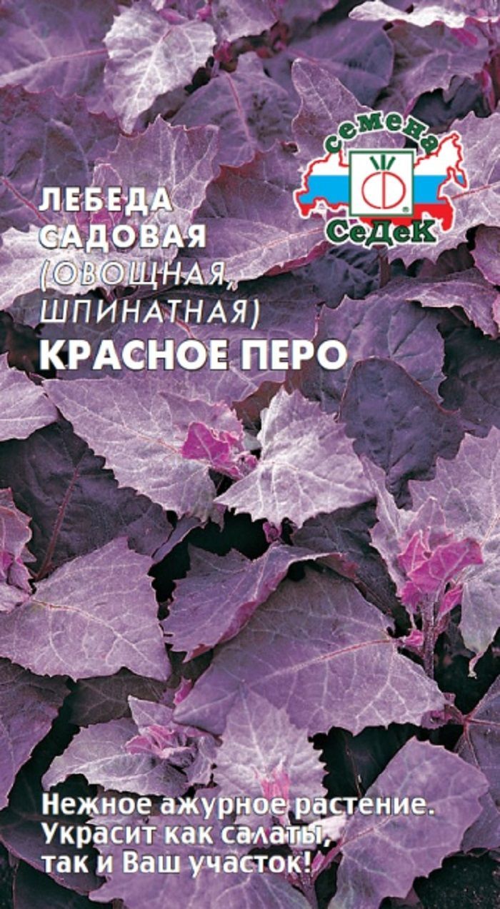 Семена Лебеды Купить