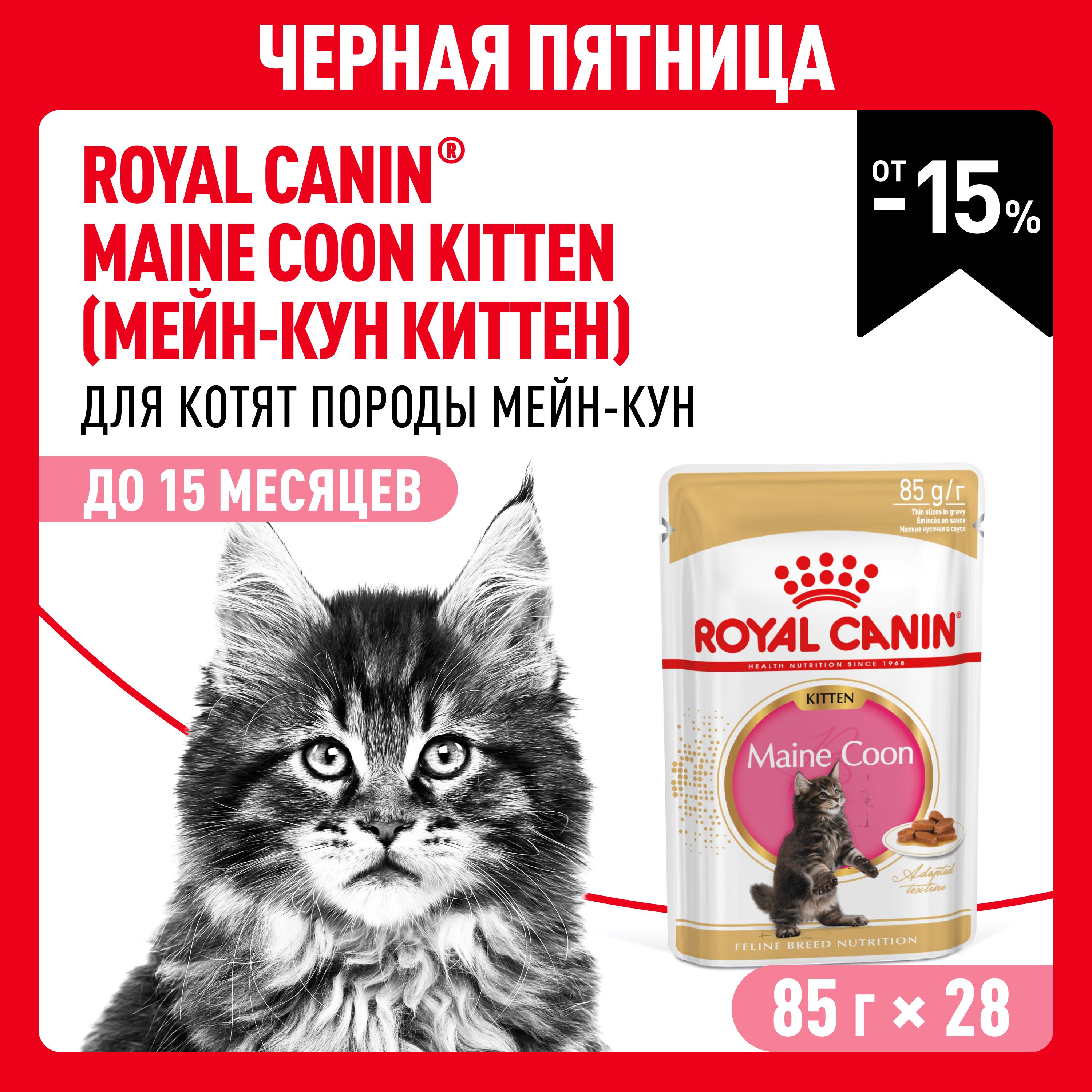 Влажный корм для котят Royal Canin Kitten в соусе для породы мейн кун 85 г х 28 шт