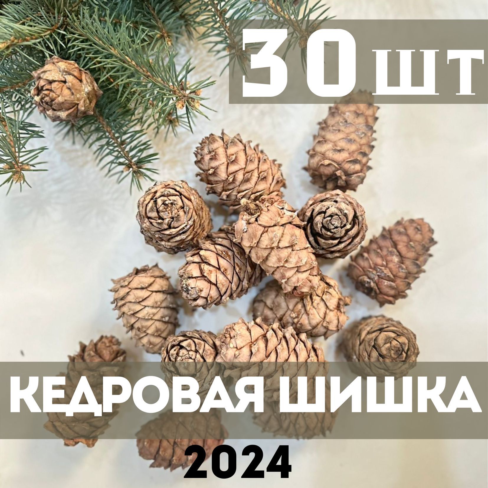 Кедровая шишка 30 шт