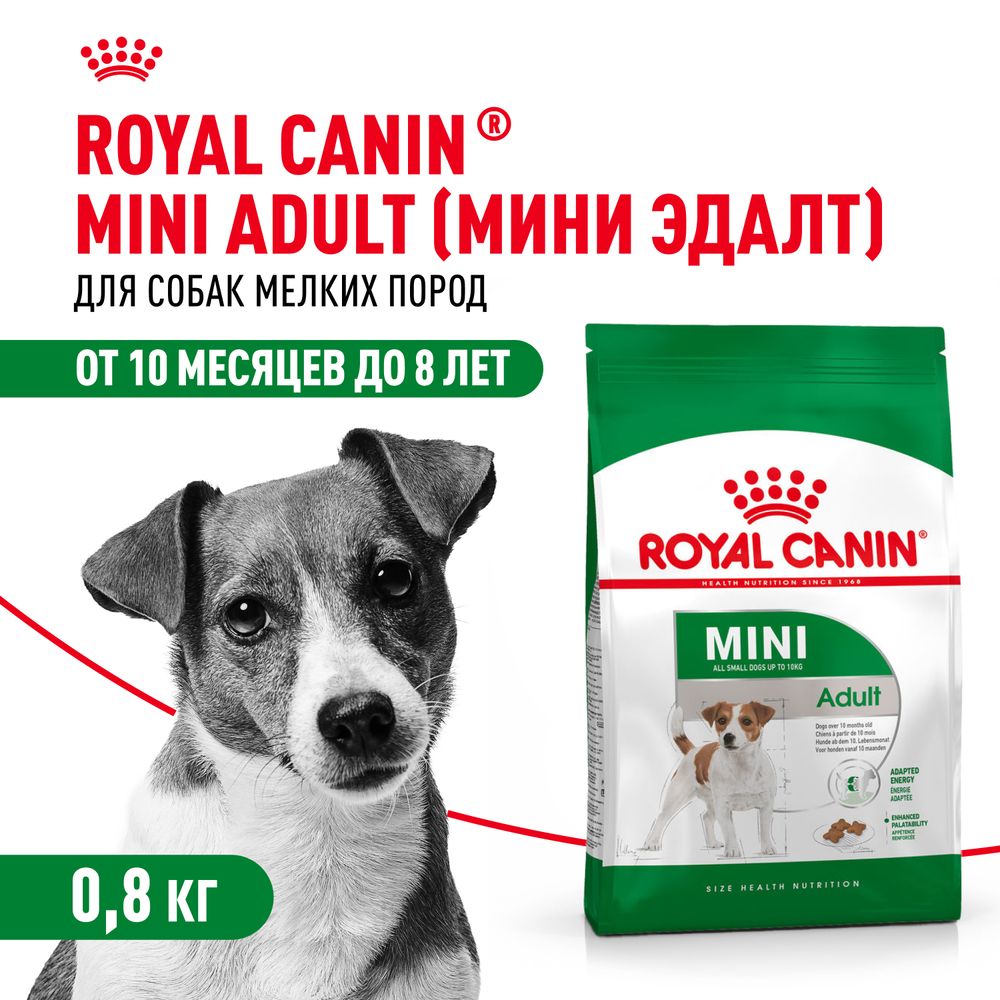 RoyalCaninMiniAdultдлявзрослыхсобакмелкихпород