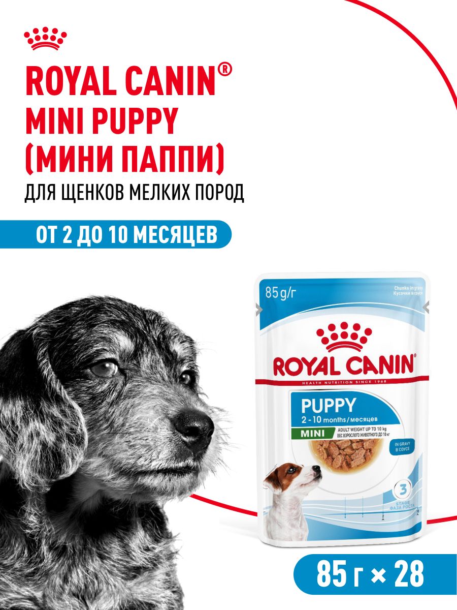 【新品未使用】 CANIN Puppy/Chiot PROTECH Royal Canin Puppy Pro Tech 300 g - Shop at Vivapets