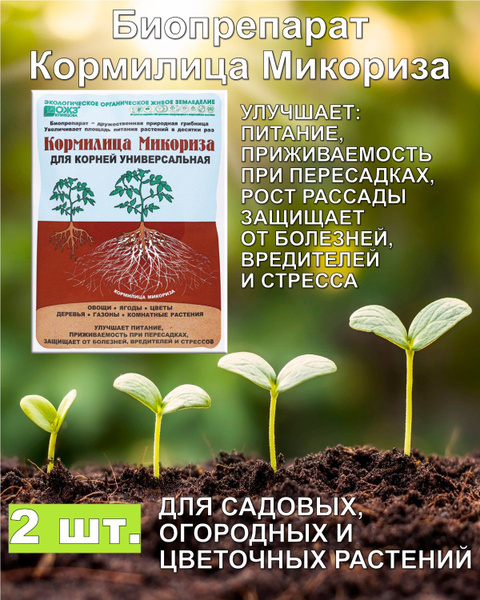 Кормилица Микориза Башкирская - 30 г, 1 л (2ШТУКИ) - купить с доставкой ...