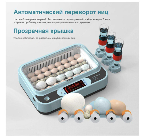 Инкубатор для яиц 40шт - купить с доставкой по выгодным ценам в ...
