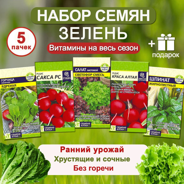 Редис, Салат Семена Алтая Зелень - купить по выгодным ценам в интернет ...