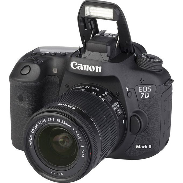 Зеркальный фотоаппарат Canon 7D mark II_kit 18-55 IS III - купить по ...