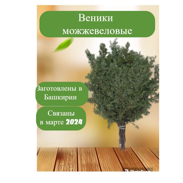 Веники можжевеловые 2 штуки в картонной коробке - Веник для бани ...