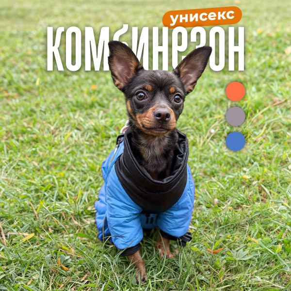 Одежда для собак мелких, средних пород, комбинезон зимний, S - купить с ...