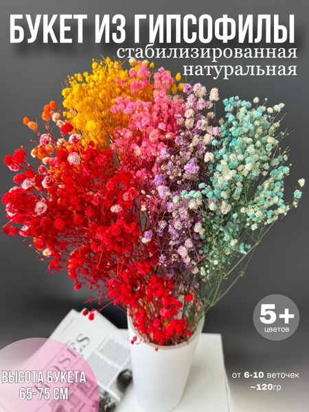 Стабилизированные цветы Гипсофила, 120 гр, 1 шт купить на OZON по ...