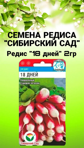 Редис редис_18 дней - купить по выгодным ценам в интернет-магазине OZON ...