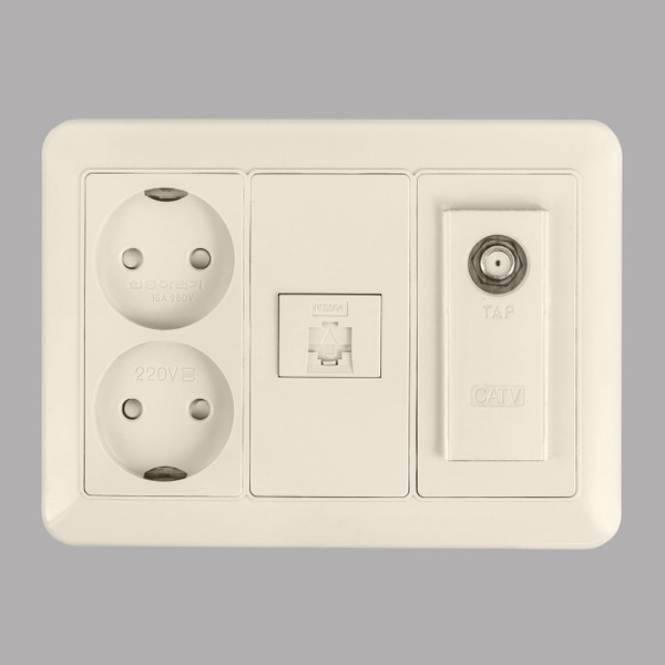 Розетка комбинированная Shin Dong-A,WST 6222, бежевый - купить по ...