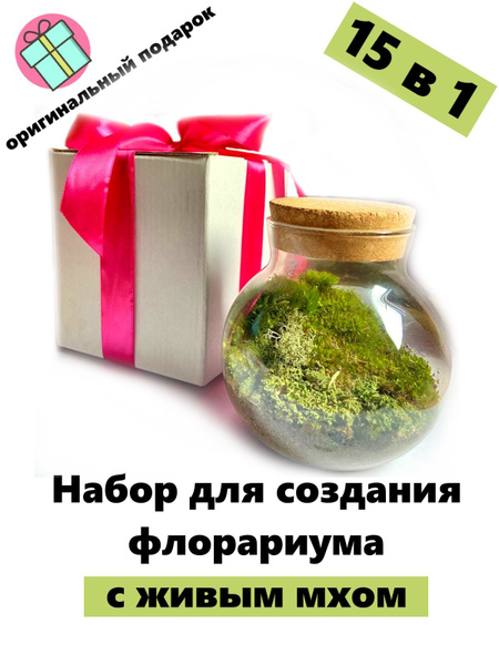 Флорариум с живым лесным мхом Ваза Бабл объем 0,5 л Мини экосистема ...