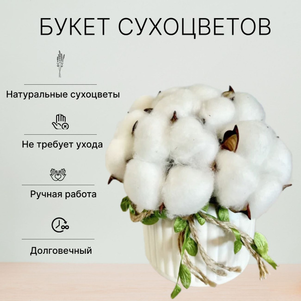 Букет из сухоцветов Хлопок, 20 см, 400 гр, 1 шт купить по выгодной цене ...